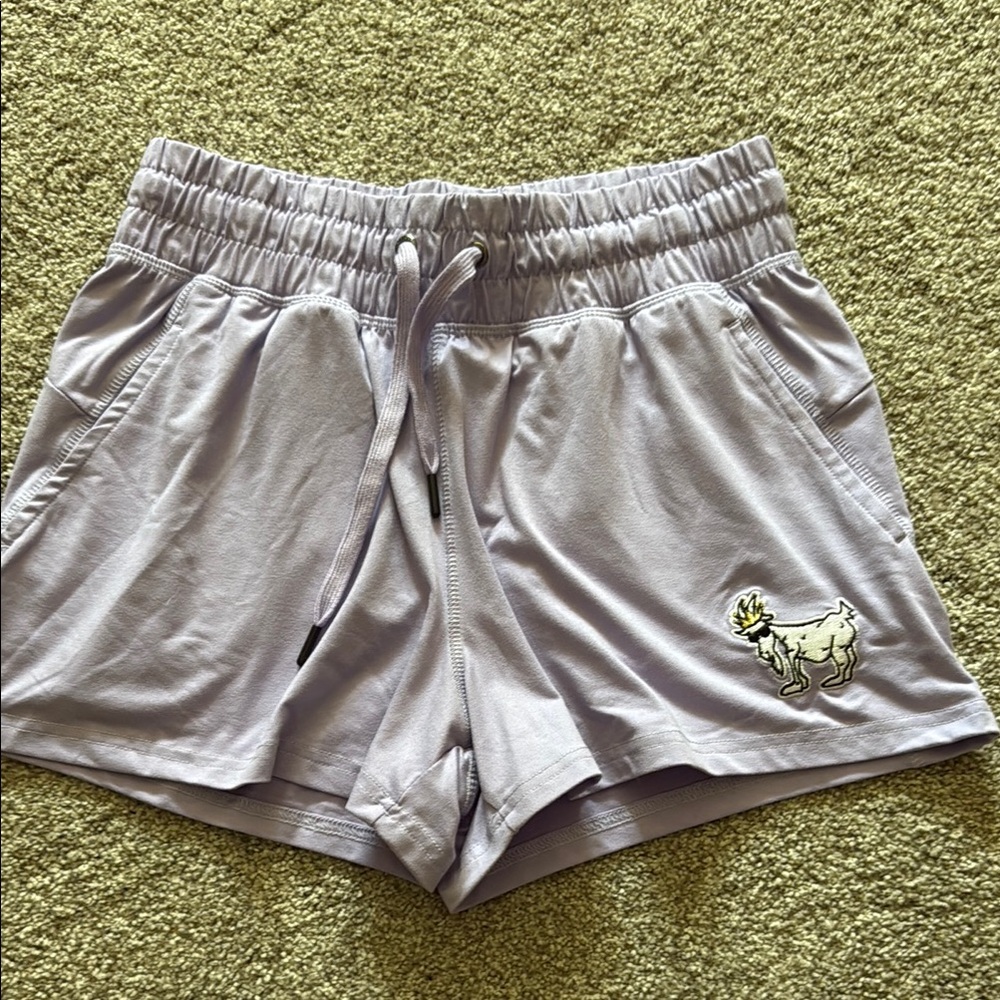Athletic Purple Shorts with Drawstring Waist goat size small like new lavender